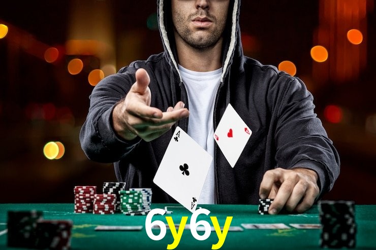 6y6y